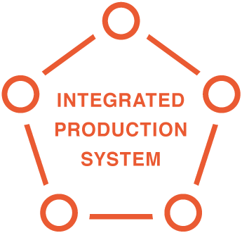 INTEGRATED PRODUCTION SYSTEM